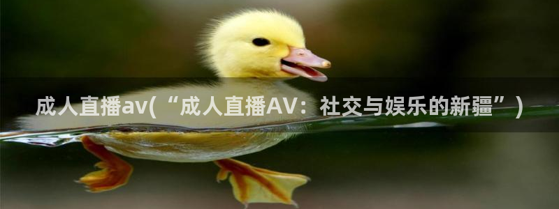小视频av