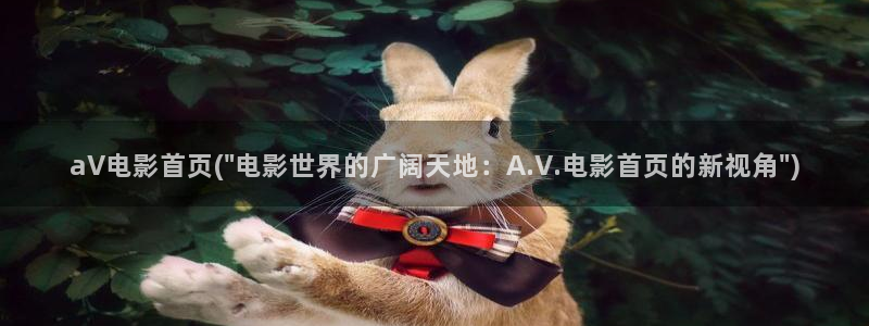 在线看日本av